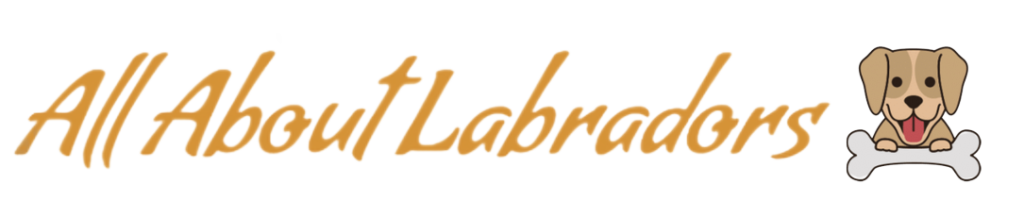 labradorsblog-logo