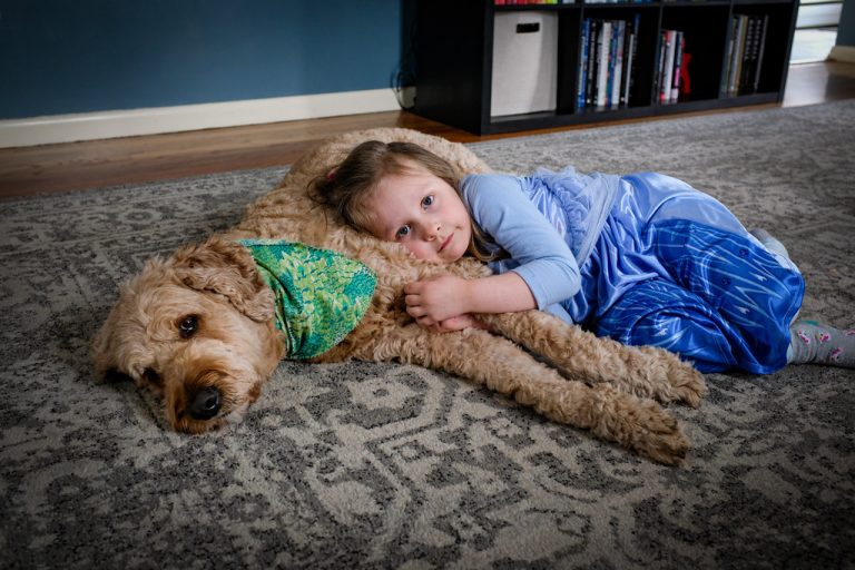 Labradoodle Dogs: Are They Good With Kids?